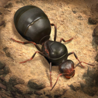 Home 15 Ants Underground Bot Icon